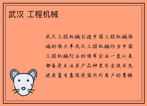 武汉 工程机械